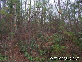 Lot 40 Phase 1-b, Unit LOT 40 Clyde, NC 28721 - Photo 4 of 10 a view of forest