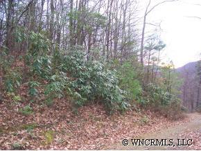 Lot 40 Phase 1-b, Unit LOT 40 Clyde, NC 28721 - Photo 5 of 10 a view of a forest that has large trees