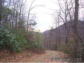 Lot 40 Phase 1-b, Unit LOT 40 Clyde, NC 28721 - Photo 6 of 10 a view of a dry yard with trees