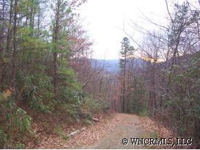 Lot 40 Phase 1-b, Unit LOT 40 Clyde, NC 28721 - Photo 7 of 10 a view of a yard