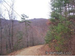 Lot 40 Phase 1-b, Unit LOT 40 Clyde, NC 28721 - Photo 8 of 10 a view of a dry yard with trees