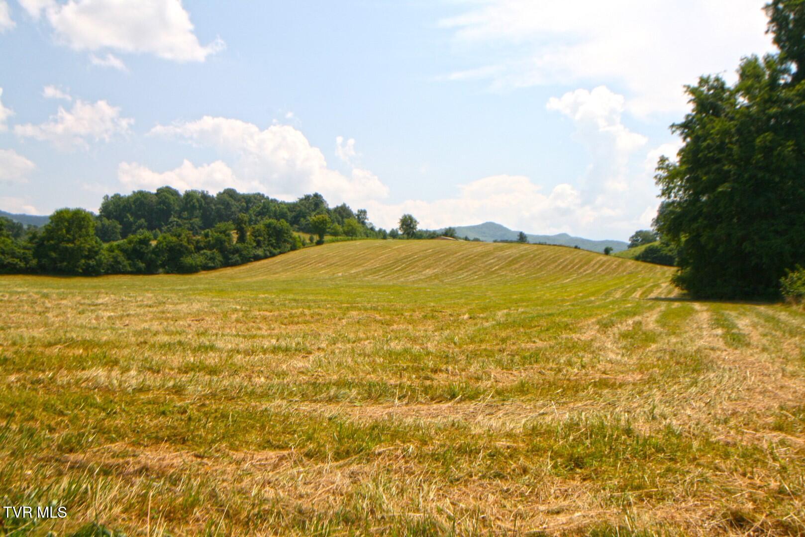 Long HollowIMG_4232 (Large)