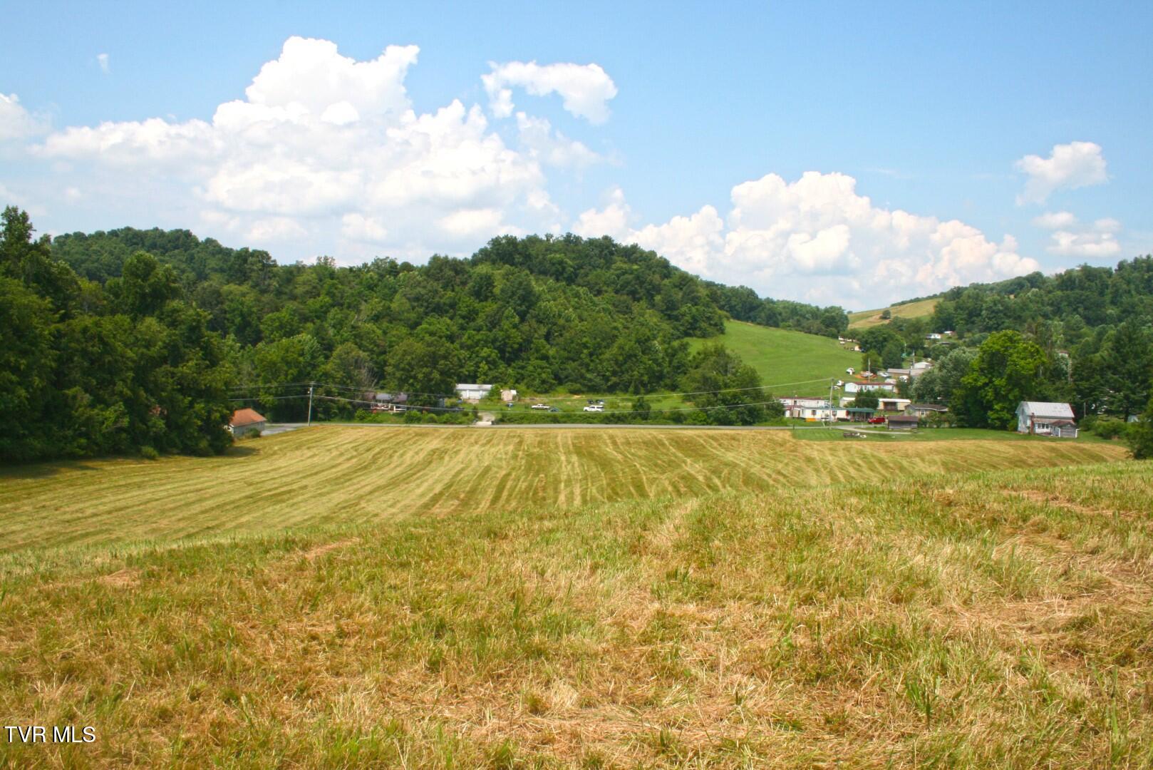 637 Long Hollow Road Elizabethton, TN 37643 - Photo 12 of 14 Long HollowIMG_4246 (Large)