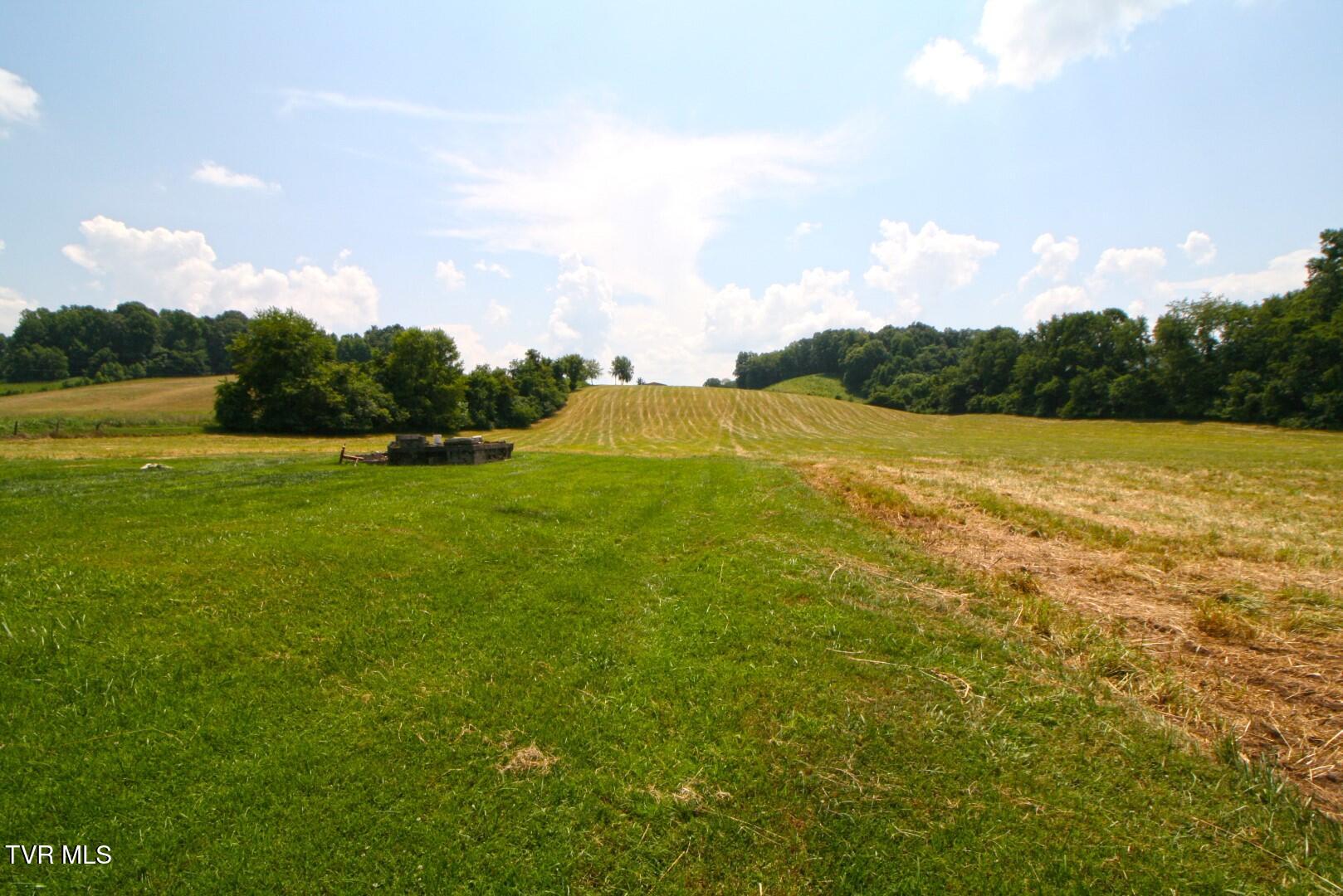 637 Long Hollow Road Elizabethton, TN 37643 - Photo 2 of 14 Long Hollow Road