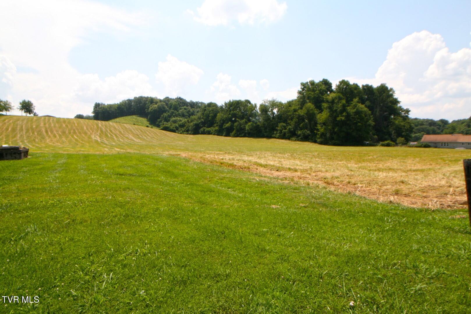 637 Long Hollow Road Elizabethton, TN 37643 - Photo 3 of 14 Long Hollow IMG_4224 (Large) (2)