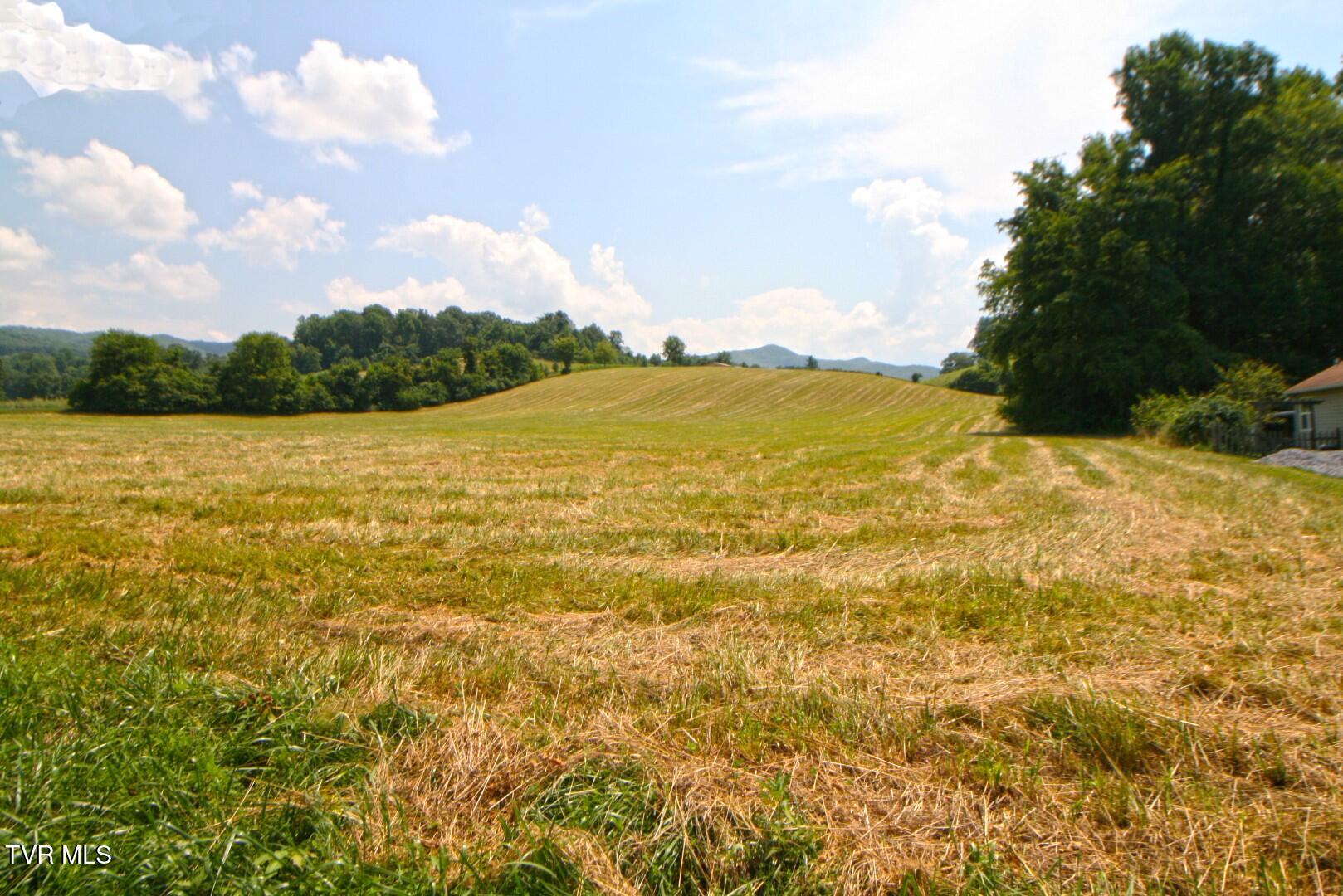 637 Long Hollow Road Elizabethton, TN 37643 - Photo 5 of 14 Long HollowIMG_4231 (Large)