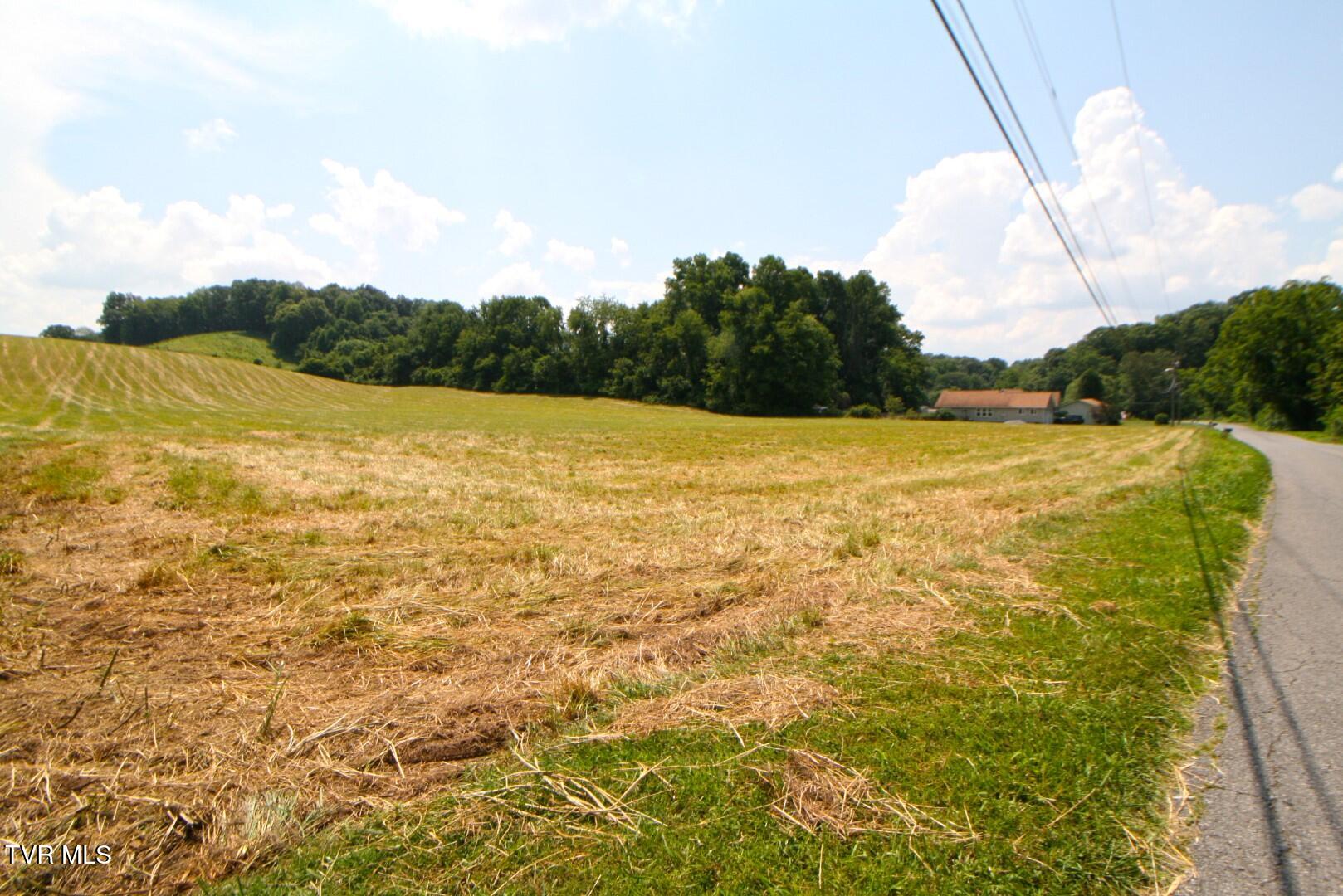 637 Long Hollow Road Elizabethton, TN 37643 - Photo 6 of 14 Long Hollow IMG_4228 (Large)