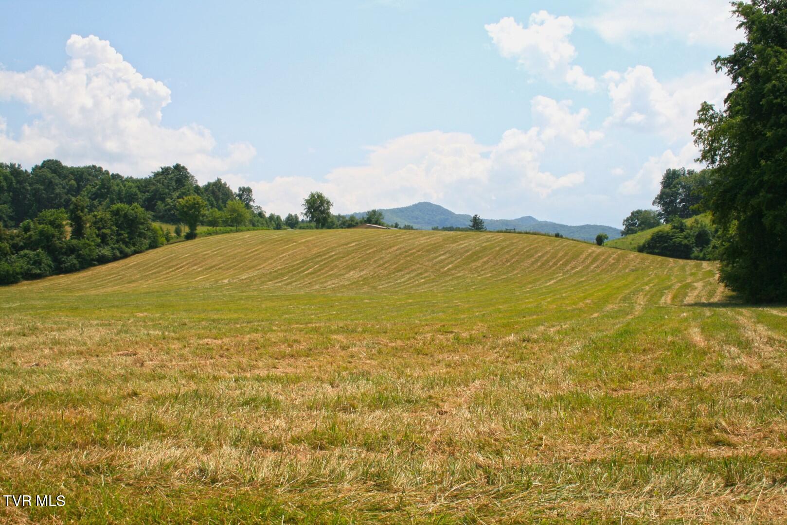 637 Long Hollow Road Elizabethton, TN 37643 - Photo 7 of 14 Long HollowIMG_4235 (Large)