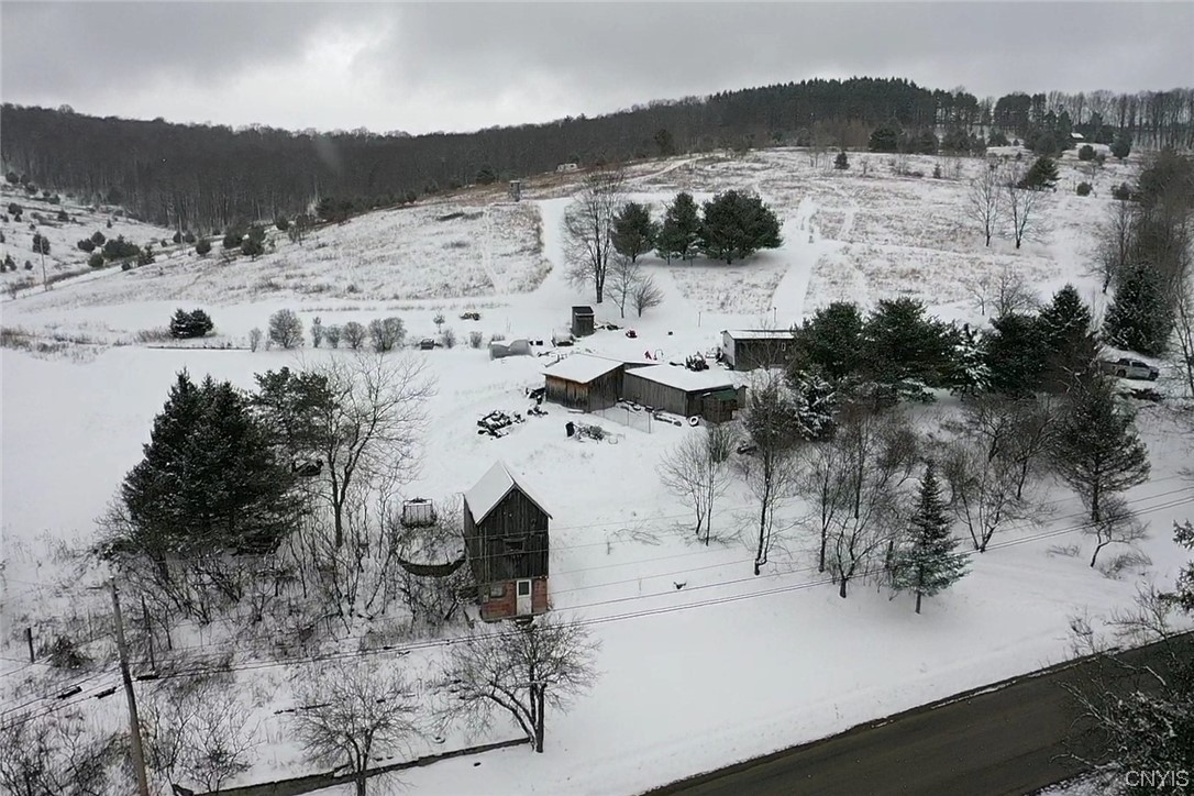 451 Horse Run Road Bolivar, NY 14754 - Photo 38 of 43