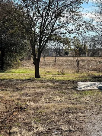 a view of a yard with large trees
