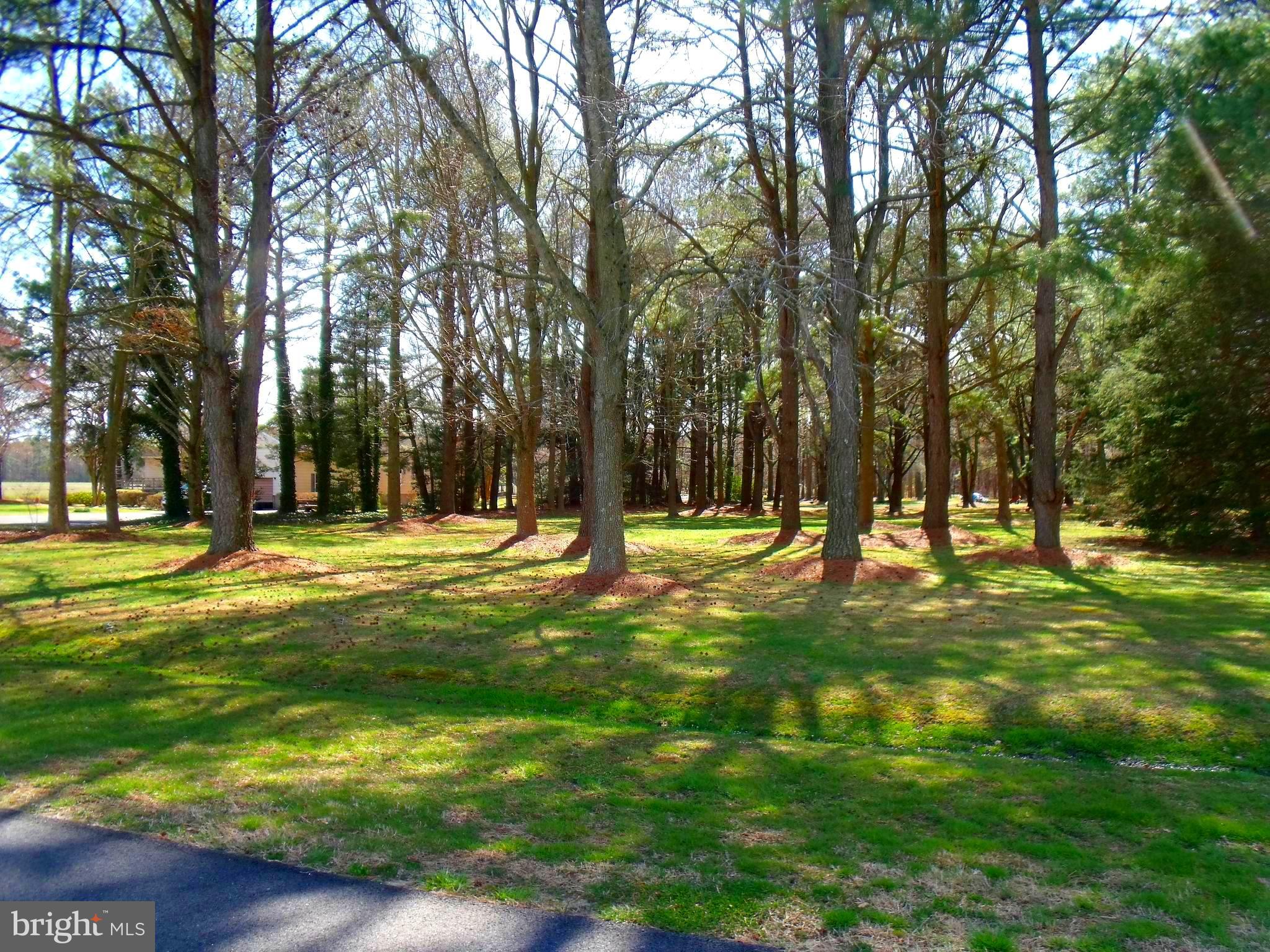 New Bridge Road Pocomoke City, MD 21851 - Photo 1 of 63 Gallery Image 1