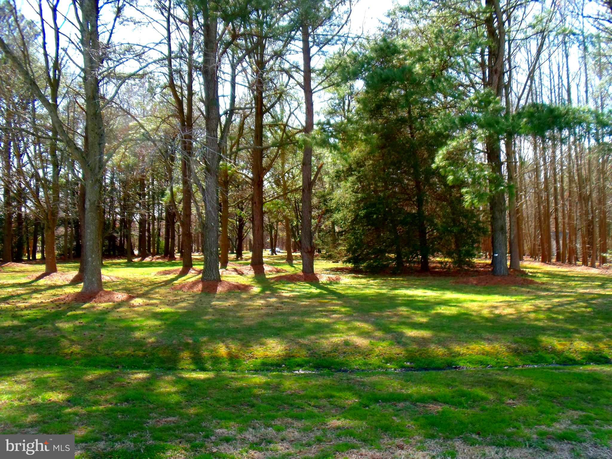 New Bridge Road Pocomoke City, MD 21851 - Photo 2 of 63 Gallery Image 2