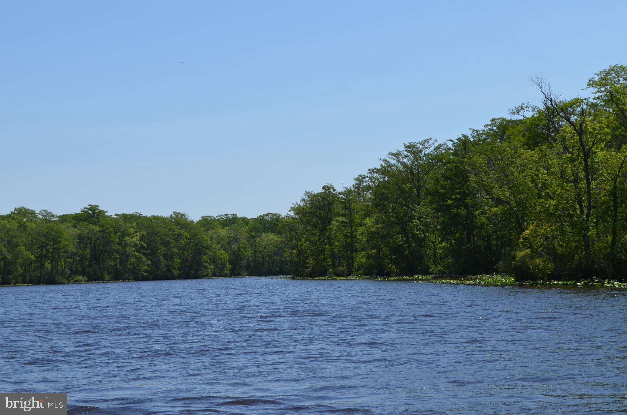 New Bridge Road Pocomoke City, MD 21851 - Photo 16 of 63 Scenic Pocomoke River
