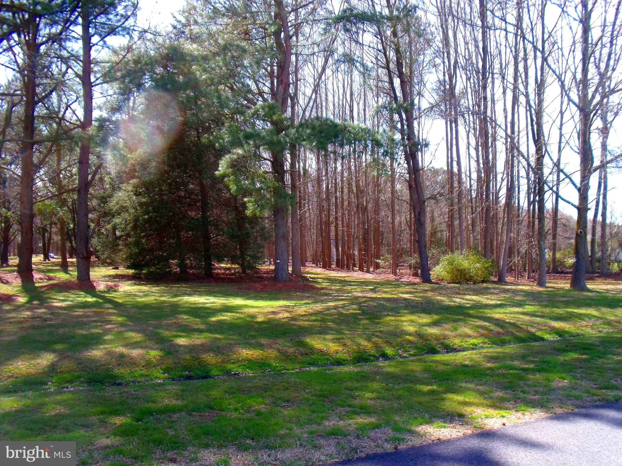 New Bridge Road Pocomoke City, MD 21851 - Photo 3 of 63 Gallery Image 3