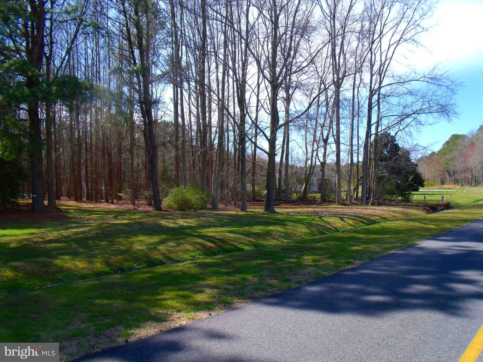 New Bridge Road Pocomoke City, MD 21851 - Photo 4 of 63 Gallery Image 4
