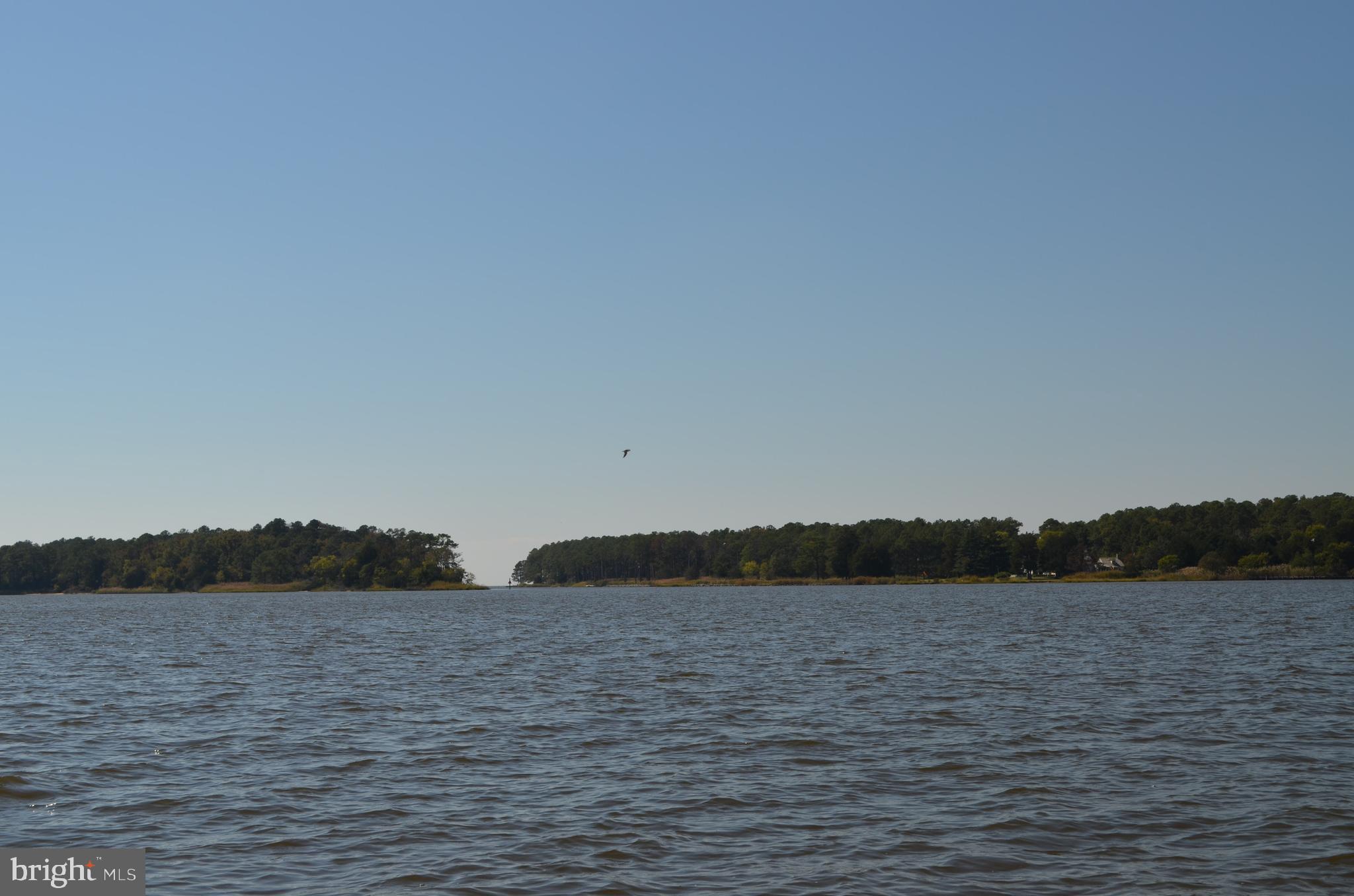 New Bridge Road Pocomoke City, MD 21851 - Photo 40 of 63 Gallery Image 40