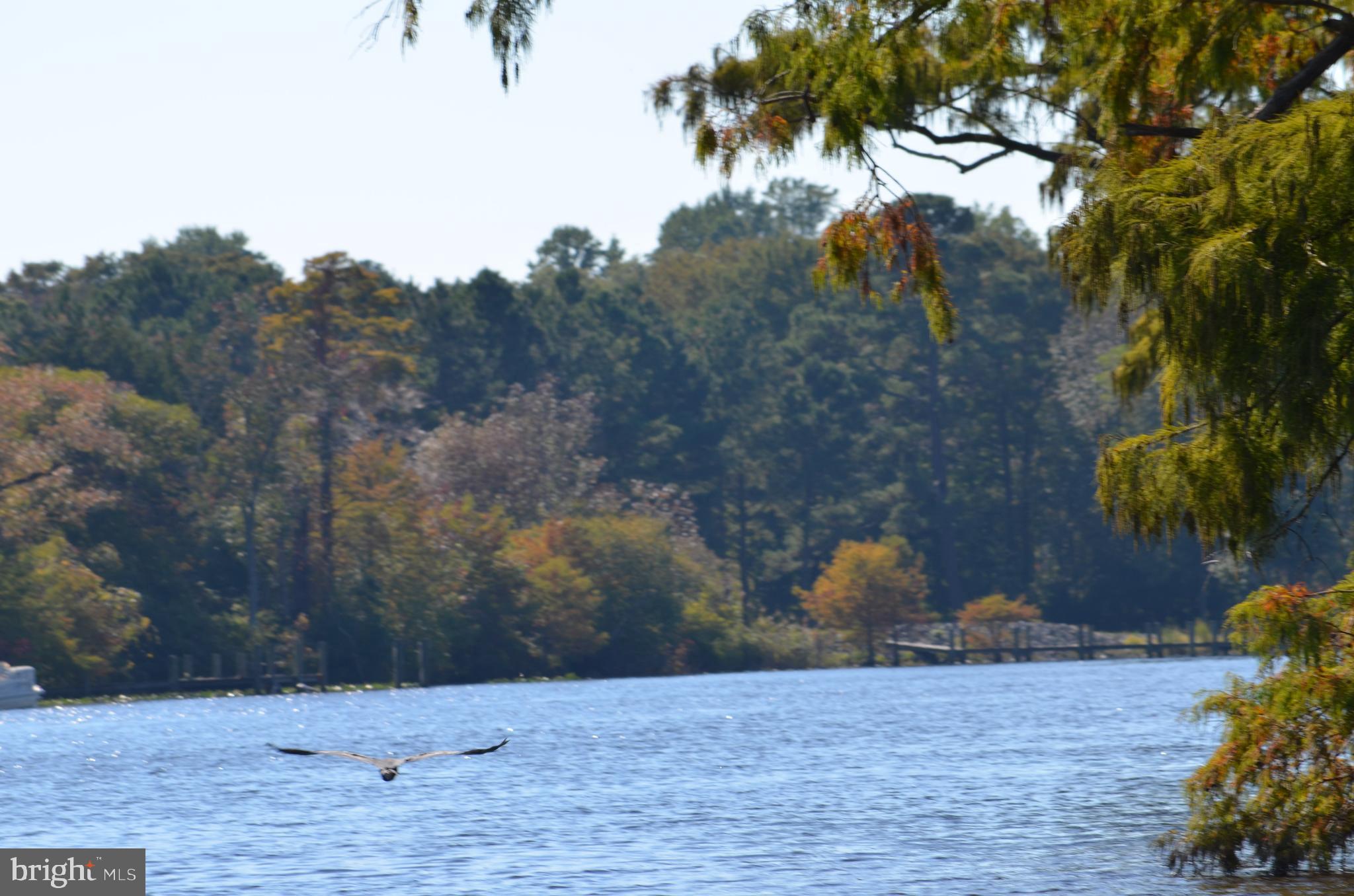 New Bridge Road Pocomoke City, MD 21851 - Photo 43 of 63 Gallery Image 43