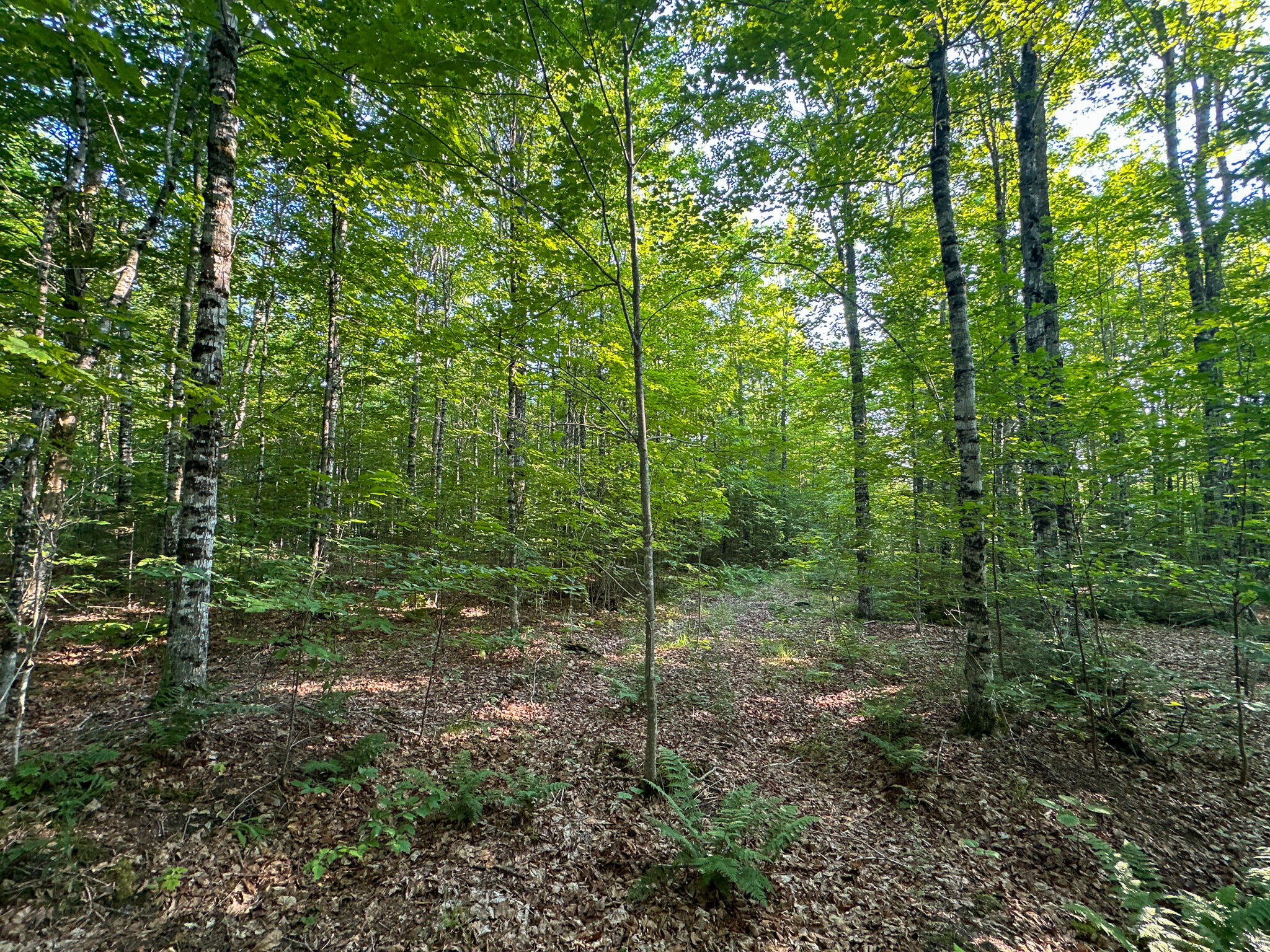 M11-l11 Sheepskin Road Carroll Plt, ME 04487 - Photo 34 of 47 33