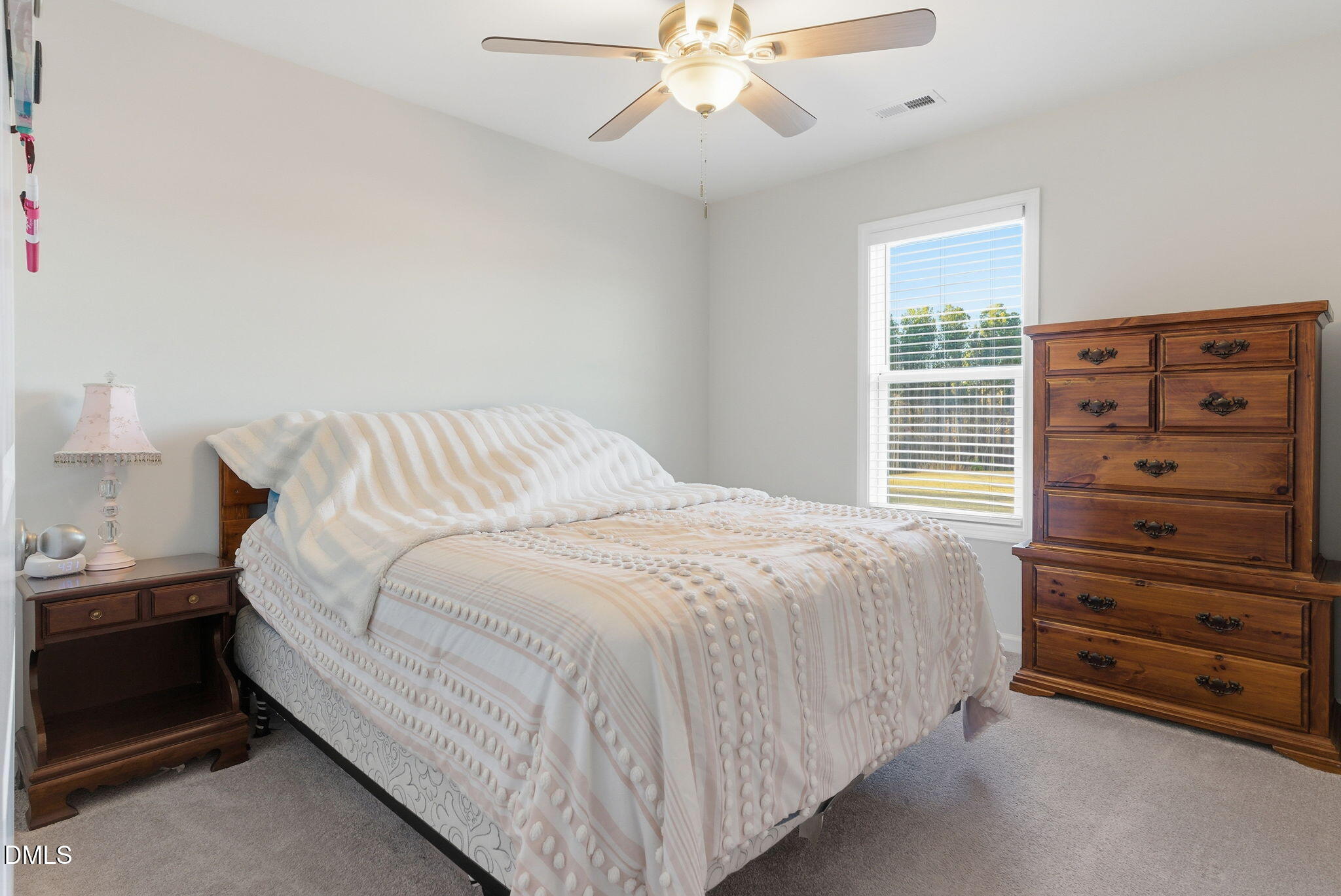 60 Robertson Stable Lane Zebulon, NC 27597 - Photo 24 of 68 60 Robertson Stable Lane-29