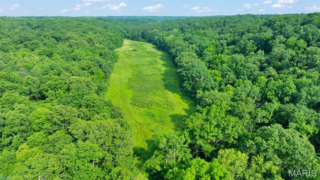 3080 Westwood Road St. Clair, MO 63077 - Photo 4 of 52