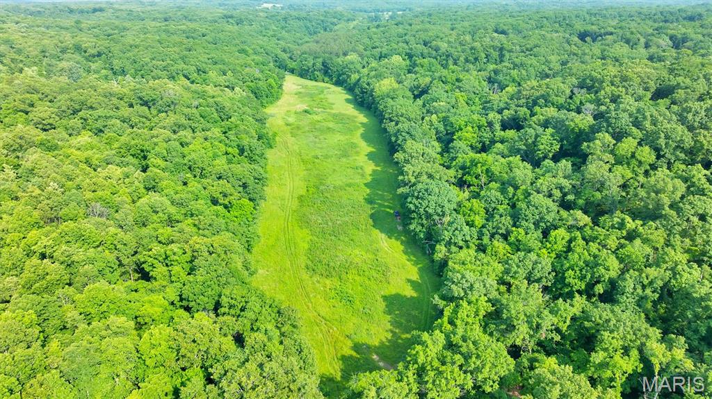 3080 Westwood Road St. Clair, MO 63077 - Photo 5 of 52