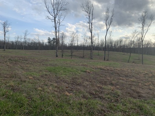 37 Box House Road Belvidere, TN 37306 - Photo 4 of 5 a view of a backyard