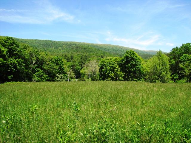329 Trout Run Road Waiteville, WV 24984 - Photo 68 of 91 Gallery Image 68