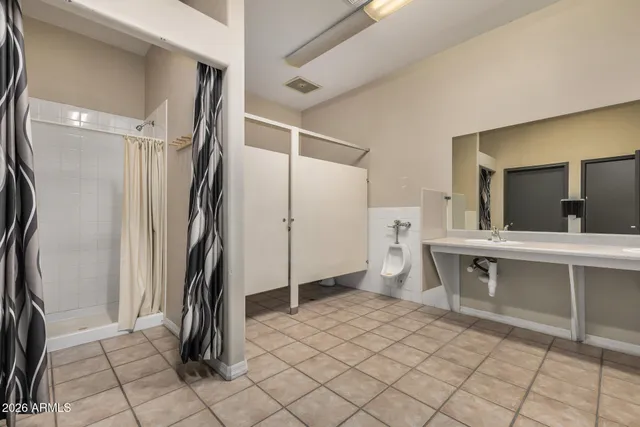 a spacious bathroom with a potted plant and a sink