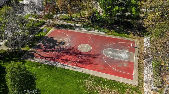 a view of a yard with plants