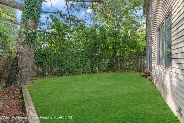 a view of a yard with plants and a bench