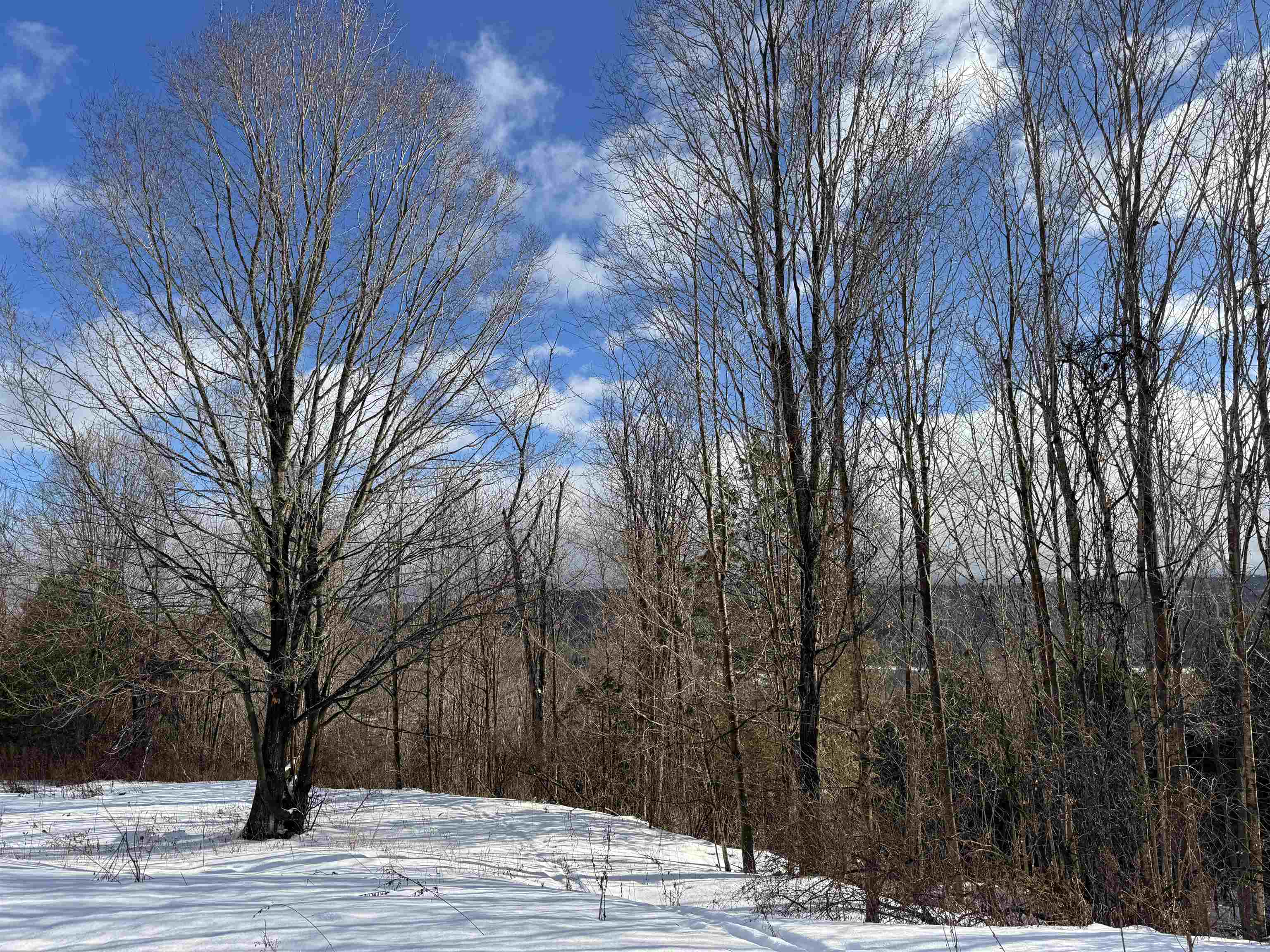 0 River Road Orleans, VT 05860 - Photo 14 of 29