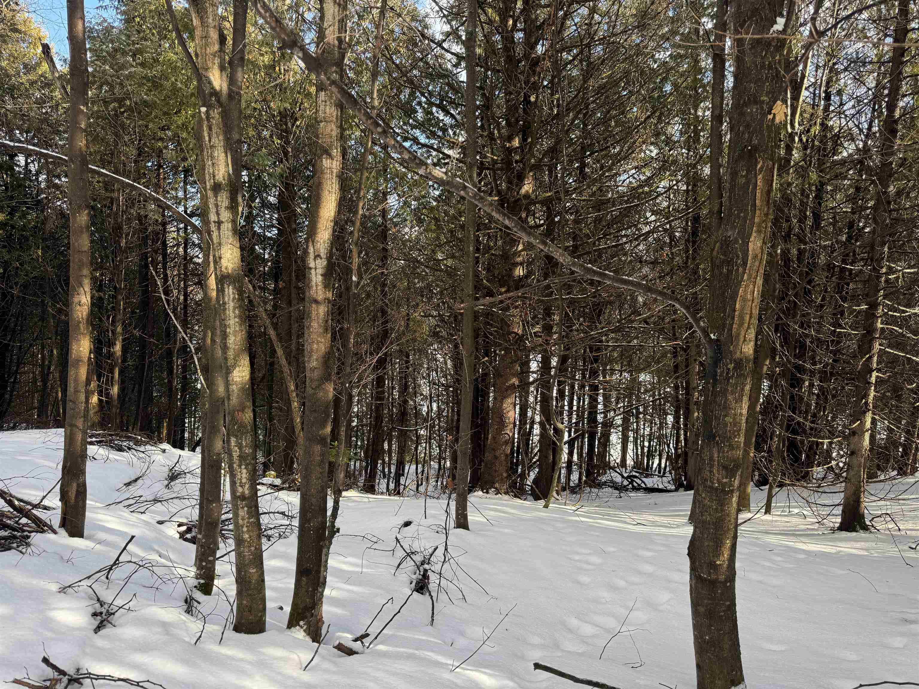 0 River Road Orleans, VT 05860 - Photo 16 of 29