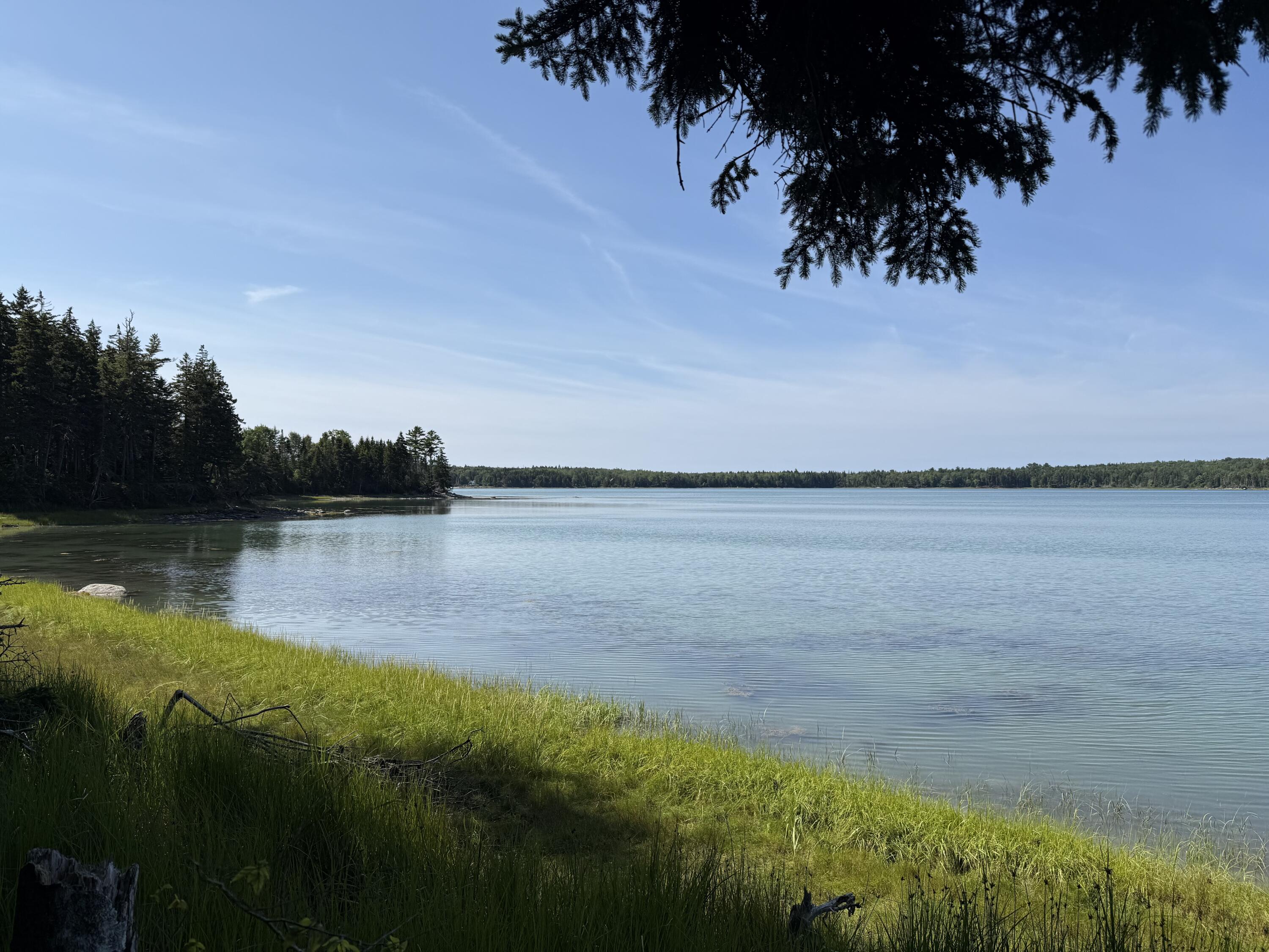 17 Duck Cove Road Brooklin, ME 04616 - Photo 4 of 7 IMG_6512