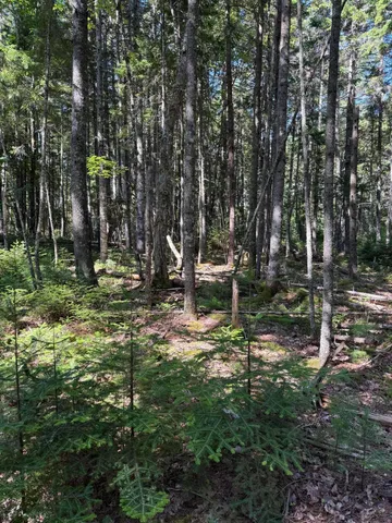 $229,000 | 17 Duck Cove Road, Brooklin, ME 04616
