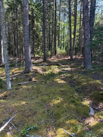 $229,000 | 17 Duck Cove Road, Brooklin, ME 04616