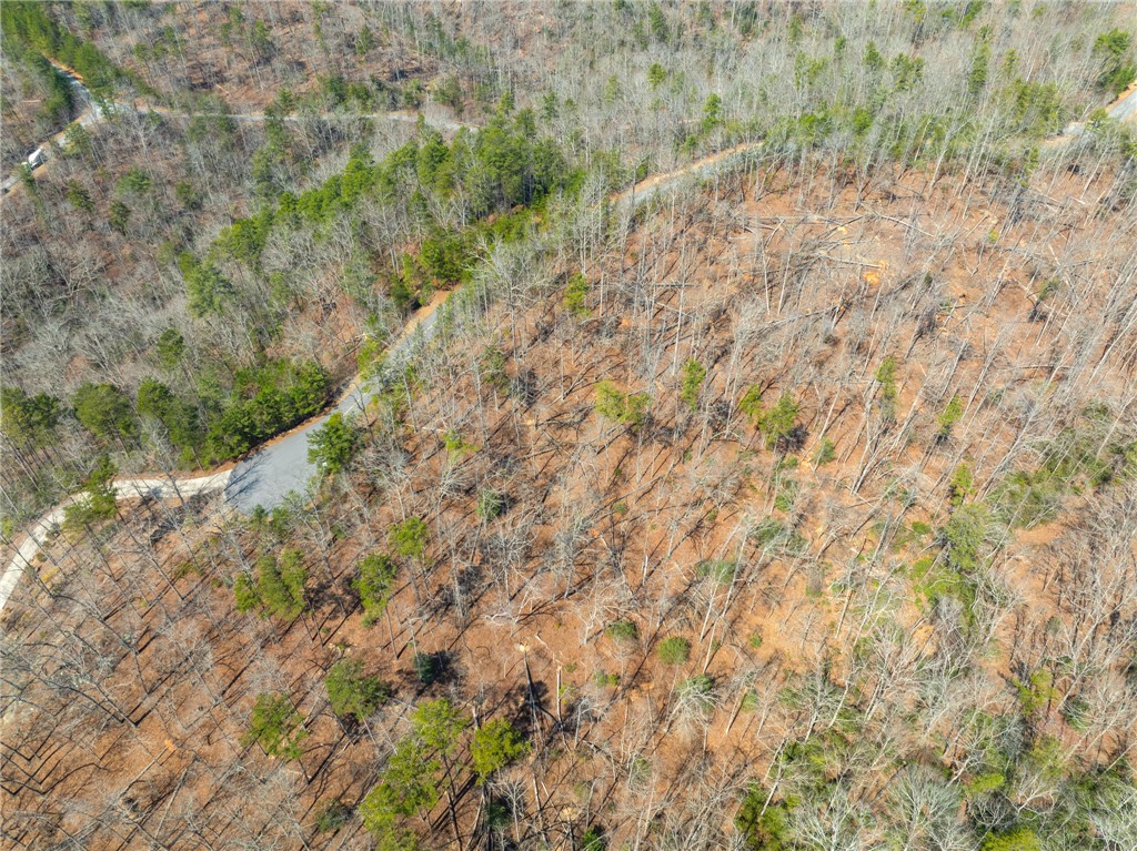 223 Logan Rdg Run Sunset, SC 29685 - Photo 8 of 10 Gallery Image 8
