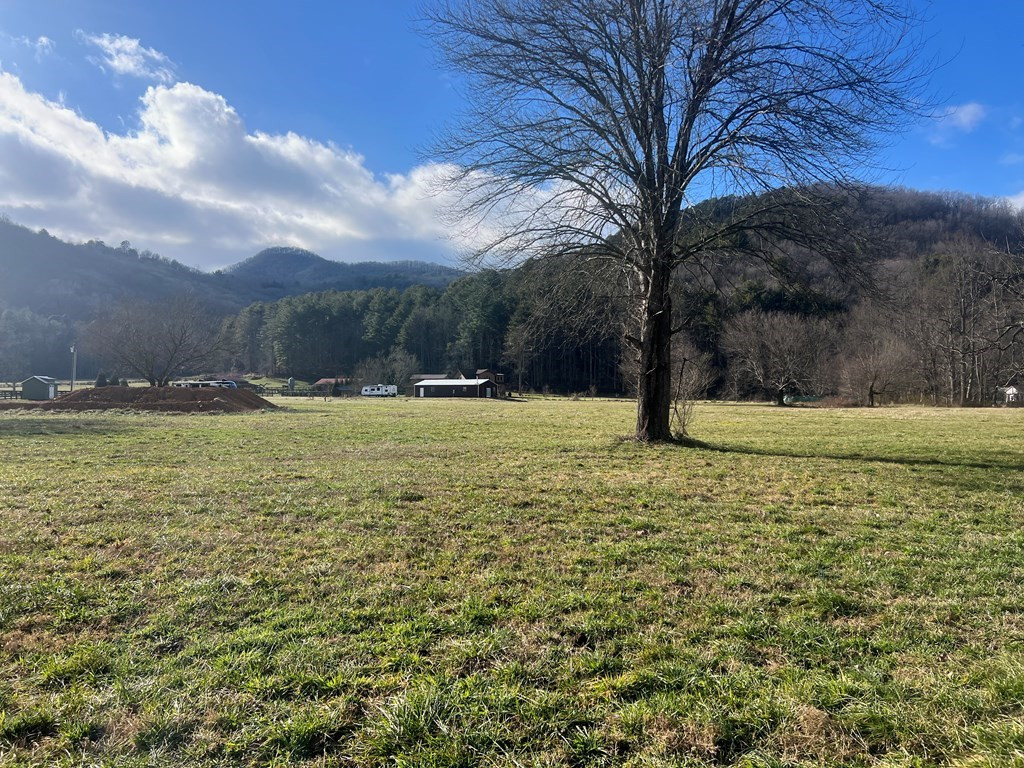 3 Riverside Meadows Hiawassee, GA 30546 - Photo 4 of 22