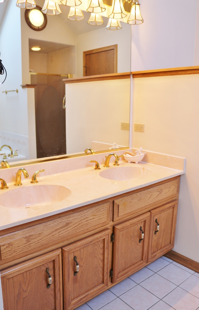 12232 Grove Road Minooka, IL 60447 - Photo 13 of 57 a bathroom with a sink and a mirror