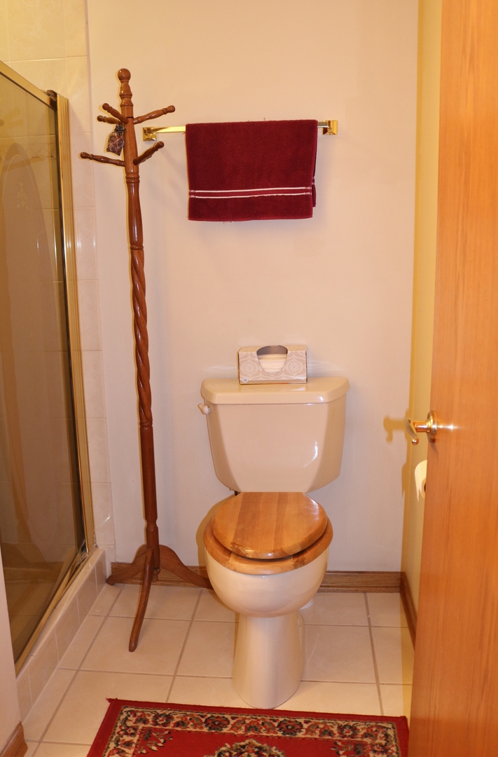 12232 Grove Road Minooka, IL 60447 - Photo 27 of 57 a bathroom with a toilet and a shower