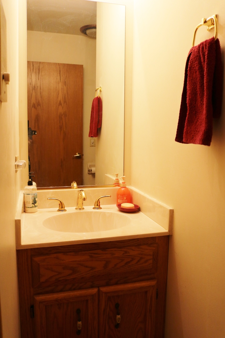 12232 Grove Road Minooka, IL 60447 - Photo 29 of 57 a bathroom with a sink and a mirror
