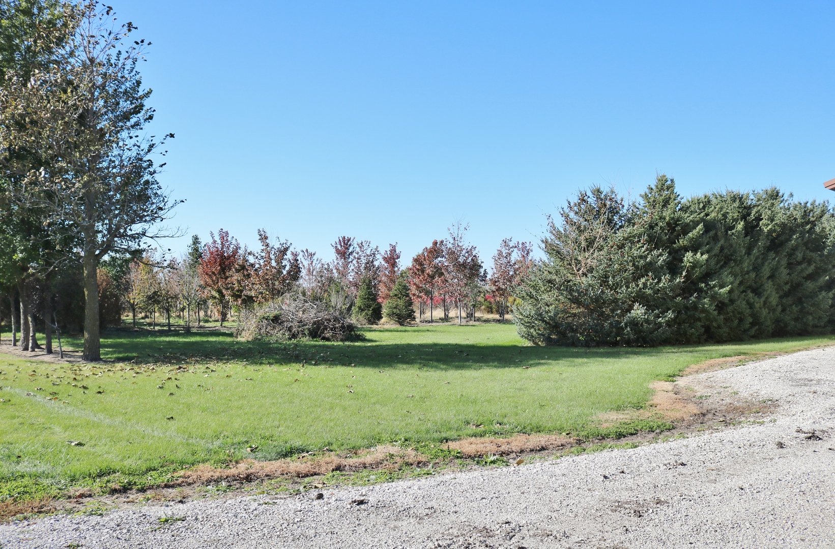 12232 Grove Road Minooka, IL 60447 - Photo 45 of 57 a view of a park