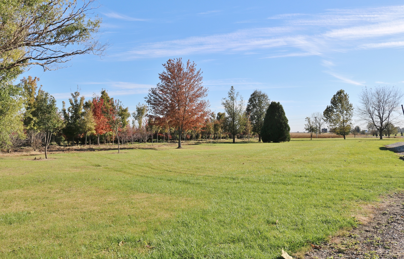 12232 Grove Road Minooka, IL 60447 - Photo 46 of 57