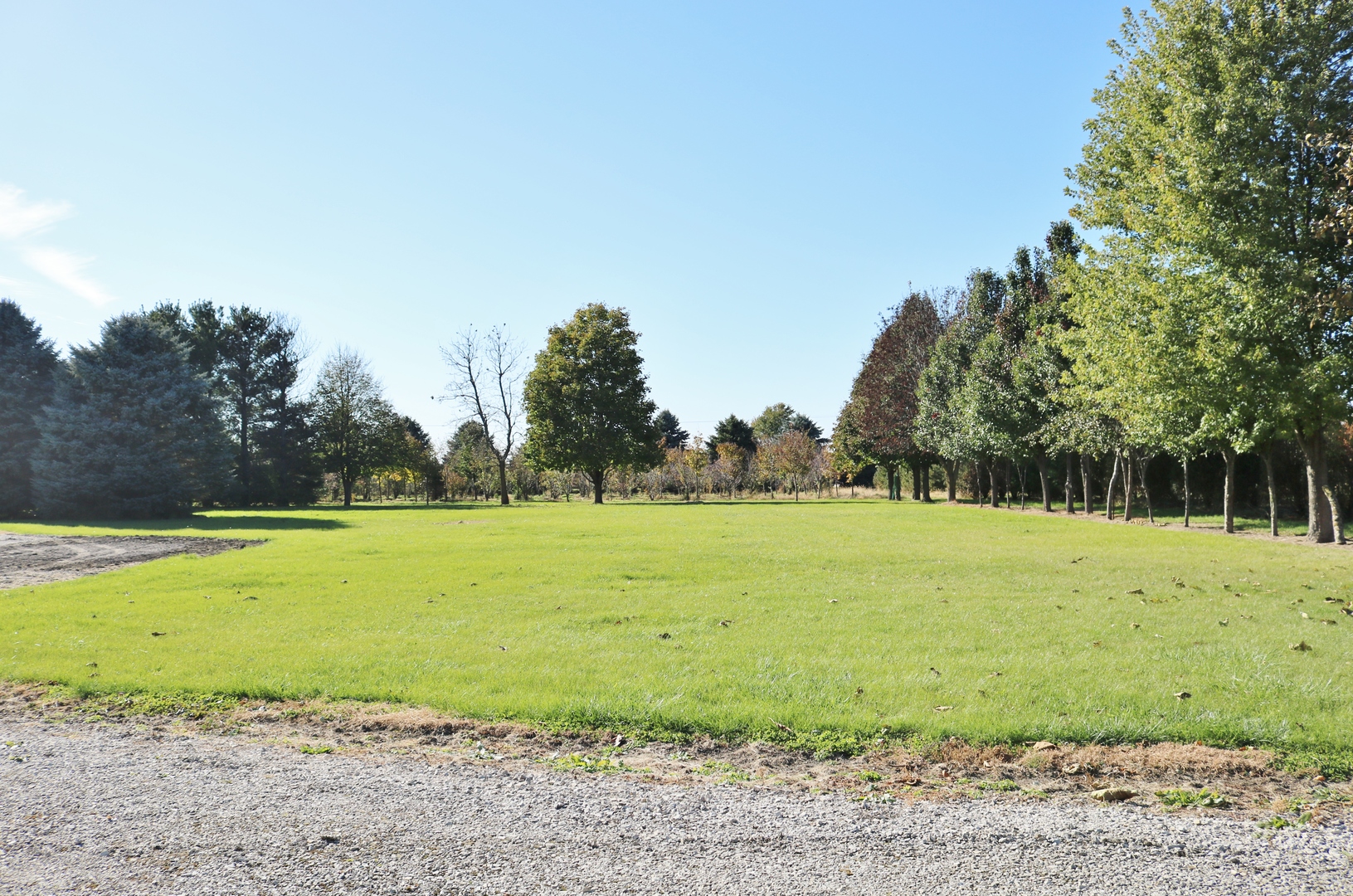 12232 Grove Road Minooka, IL 60447 - Photo 47 of 57 a view of a yard with a trees