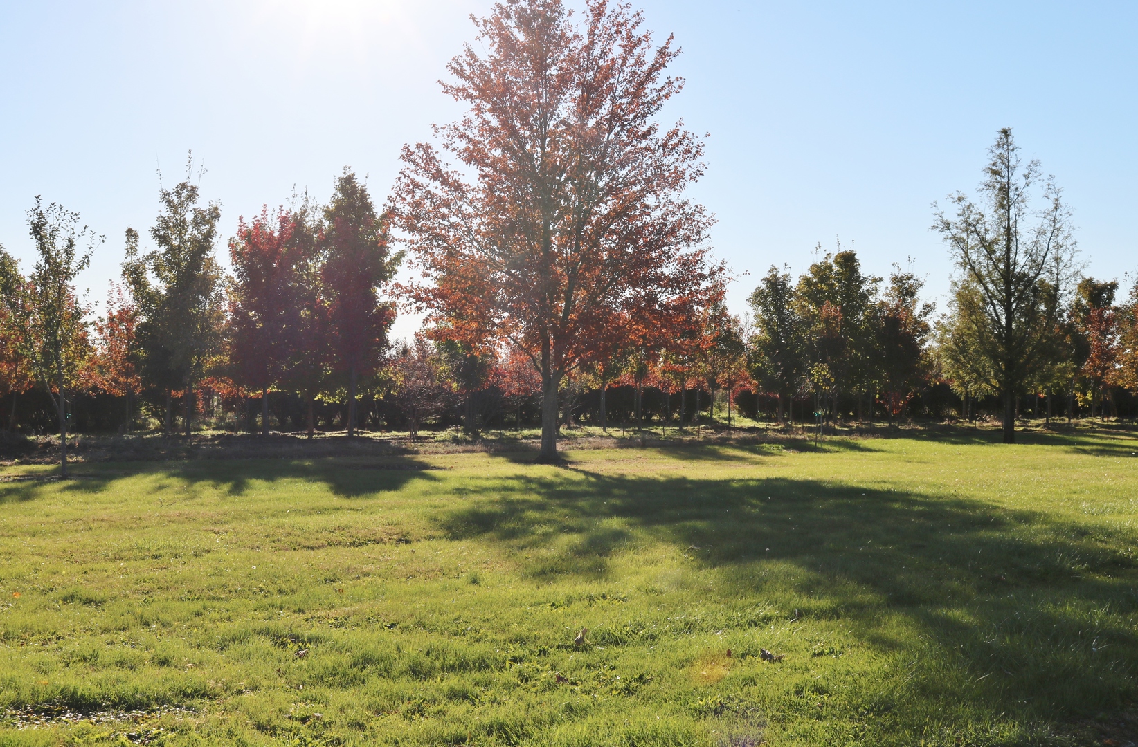 12232 Grove Road Minooka, IL 60447 - Photo 6 of 57 a view of a lake view