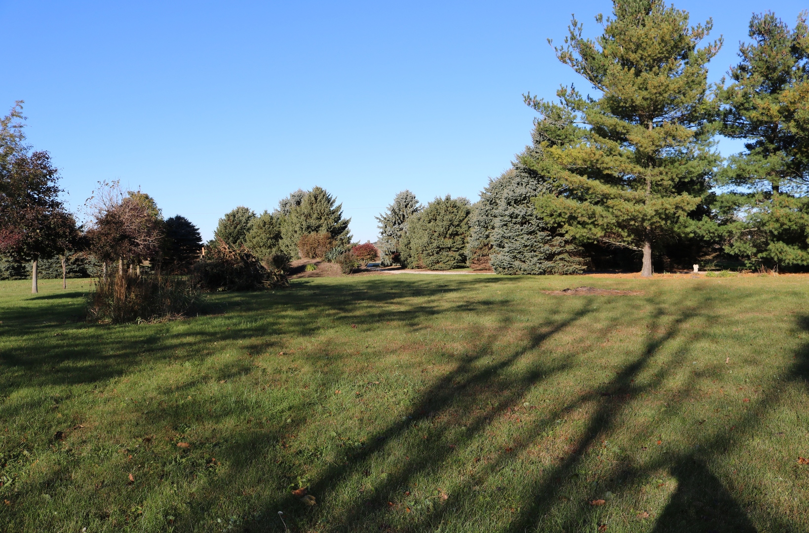 12232 Grove Road Minooka, IL 60447 - Photo 54 of 57 a view of a grassy field with trees