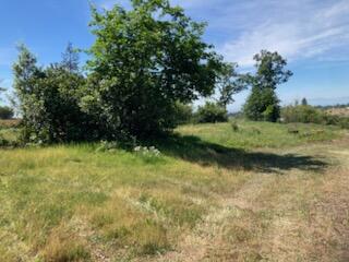 5291 Bennett Road Paradise, CA 95969 - Photo 3 of 15