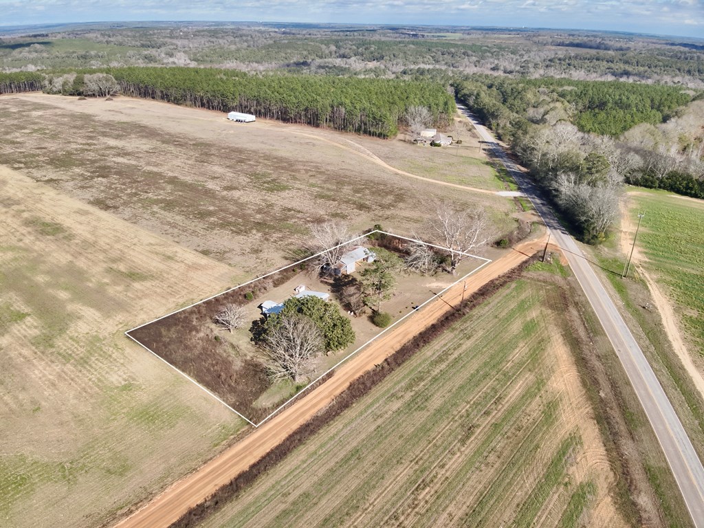 725 High Bluff Road Hartford, AL 36344 - Photo 2 of 40 Gallery Image 2