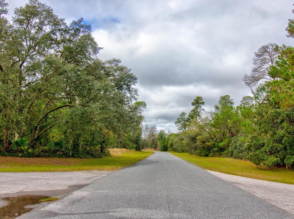 0 Southwest 148th Place Road Ocala, FL 34473 - Photo 21 of 55 a view of yard with swimming pool and green space