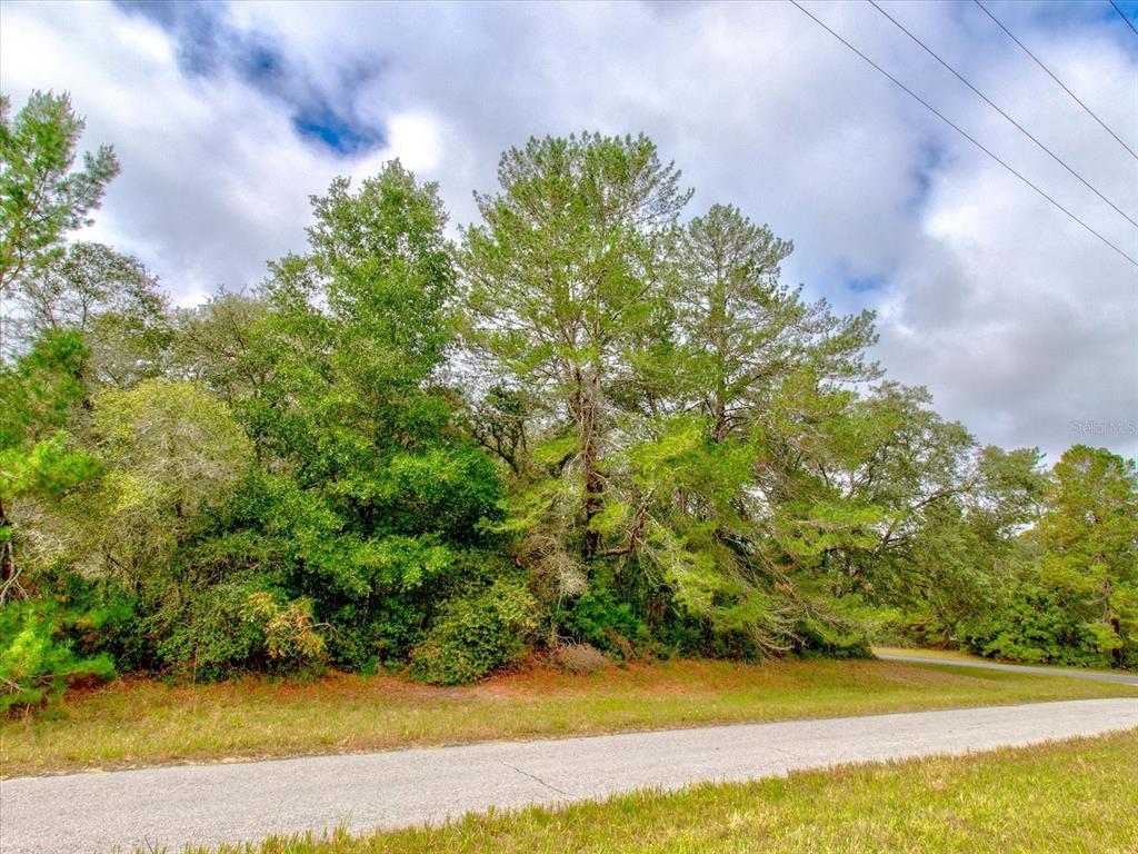 0 Southwest 148th Place Road Ocala, FL 34473 - Photo 26 of 55 a view of a yard