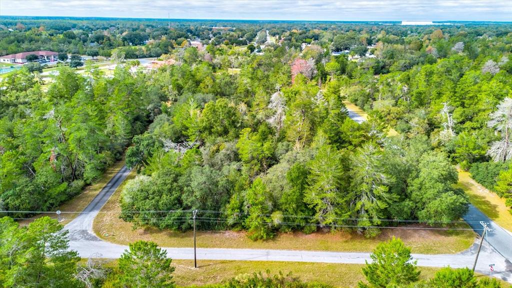 0 Southwest 148th Place Road Ocala, FL 34473 - Photo 4 of 55